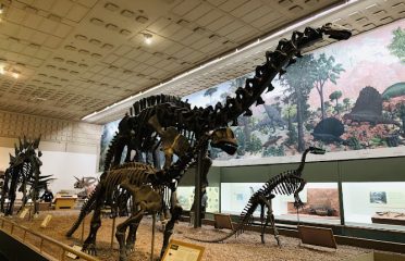 Yale Peabody Museum