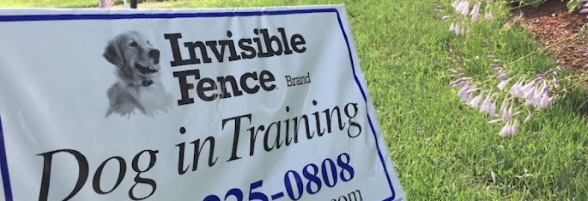 Moriarty’s Fence Company | North Stonington CT