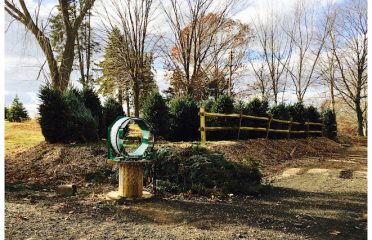 Totoket Tree Farm