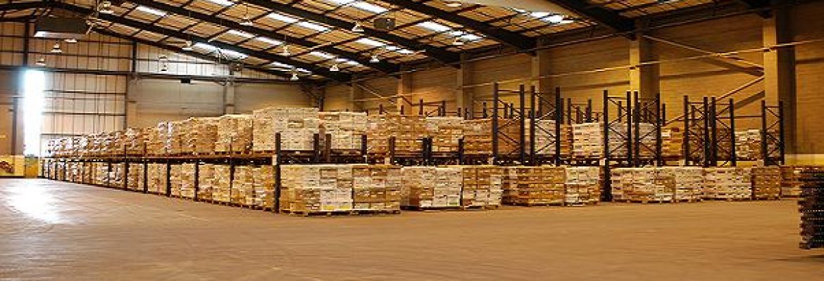 Vanguard Moving Services Group