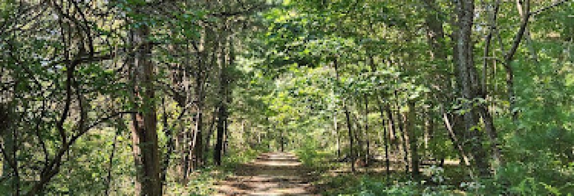 Wagner Woods