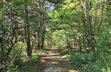 Wagner Woods