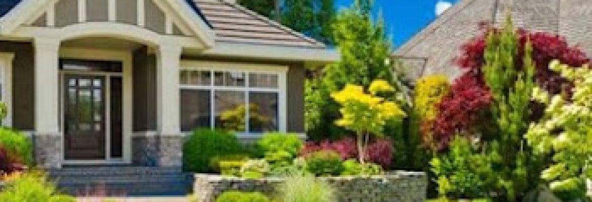 Sergio Landscaping LLC
