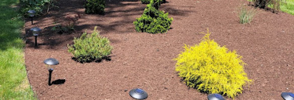United Landscaping & Tree Service