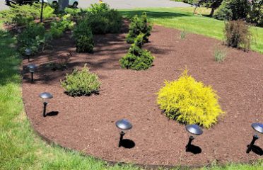 United Landscaping & Tree Service
