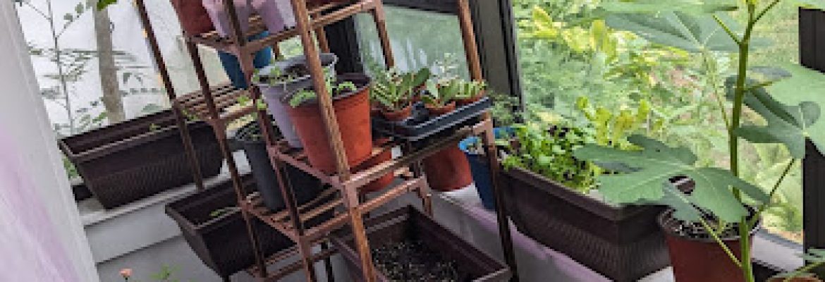 Gemal’s Greenhouse