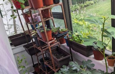 Gemal’s Greenhouse