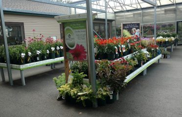 Stonehedge Ldscpg And Garden Center