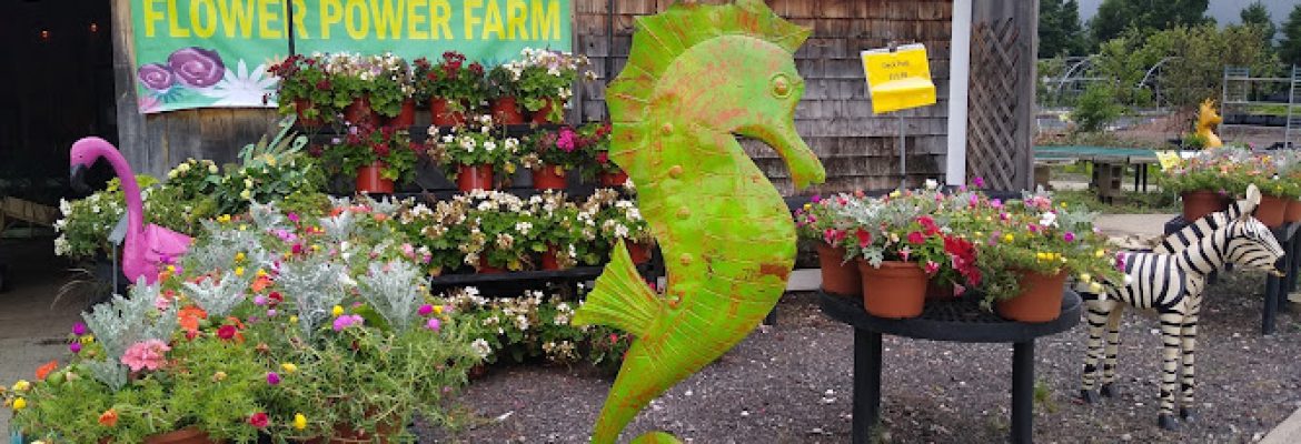Flower Power Farm