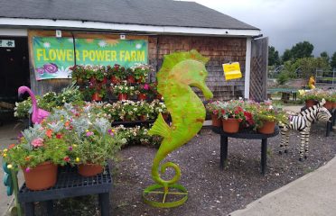Flower Power Farm