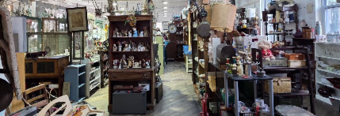 Pandemonium Thrift Shop