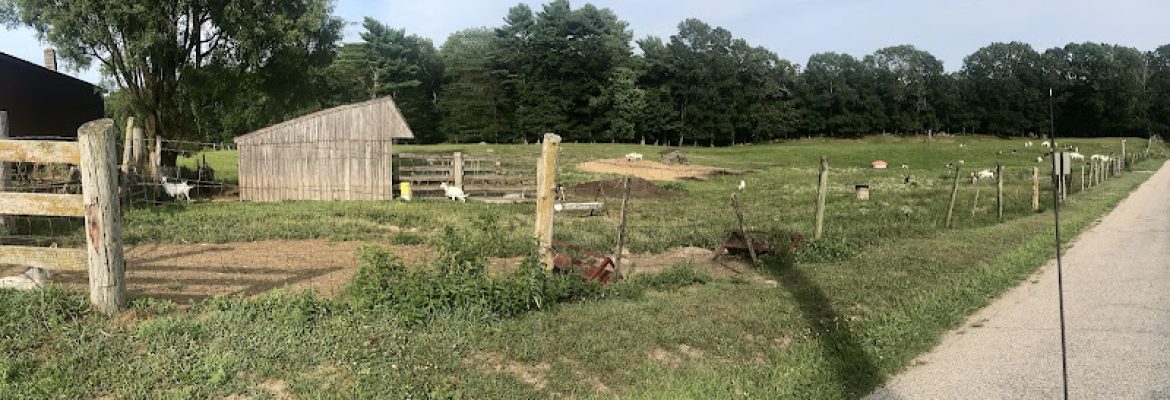 Fieldworks