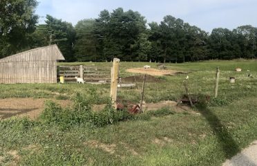 Fieldworks