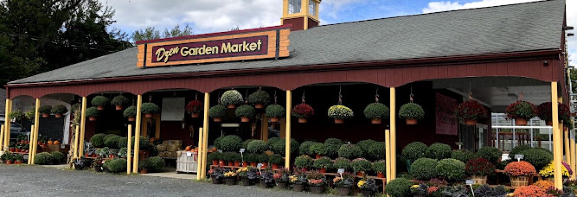 Dzen Garden Market