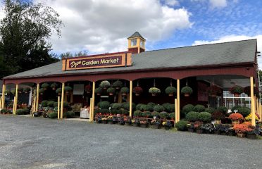 Dzen Garden Market