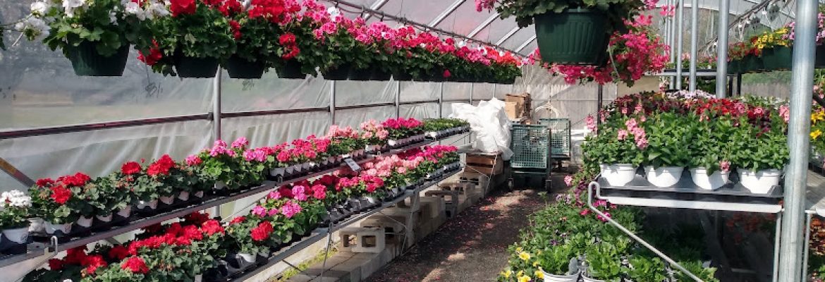 Van Wilgen’s Garden Mart