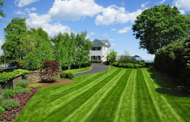 TerraGreen, LLC