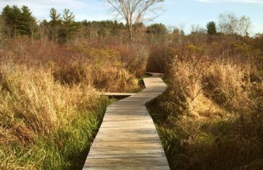 White Memorial- Little Pond Boardwalk Trail