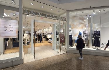 Ann Taylor