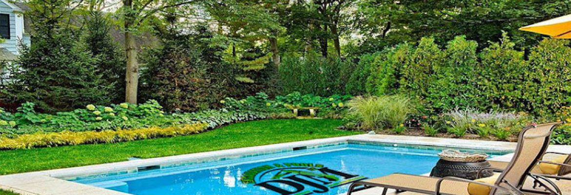 DJM Excavation and Pools, LLC