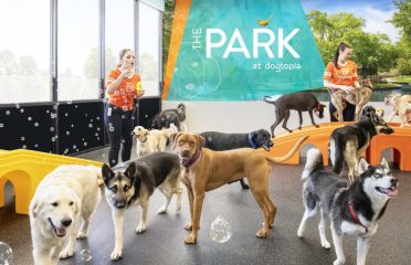 Dogtopia of Norwalk