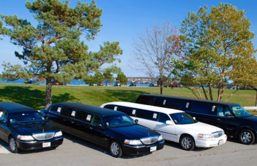 Avery Limousine Global | JFK corporate airport transportation Service CT