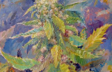 Art in Cannabis