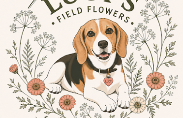 Lucy’s Field Flowers