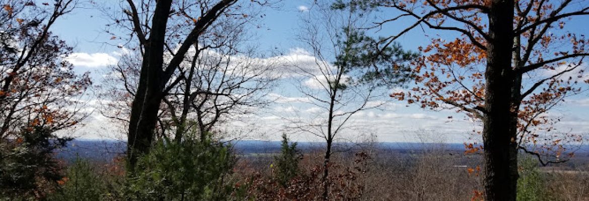 Skyline Scenic Area