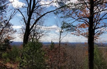 Skyline Scenic Area