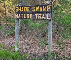 Shade Swamp Shelter