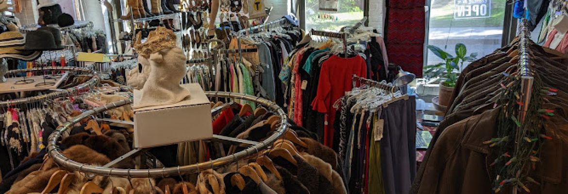 Fashionista Vintage & Variety