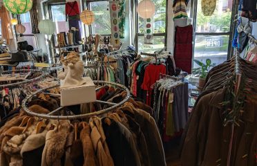 Fashionista Vintage & Variety