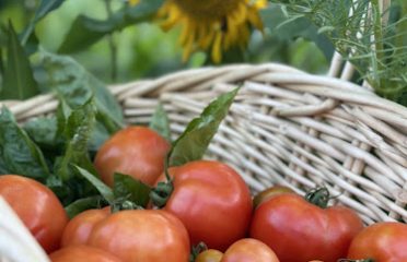 Community Garden at the Connecticut Museum of Culture and History