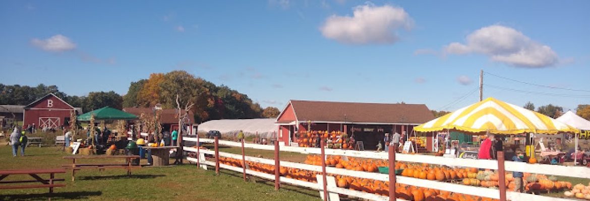 Brown’s Harvest