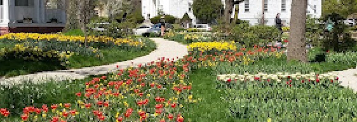 Colorblends House & Spring Garden