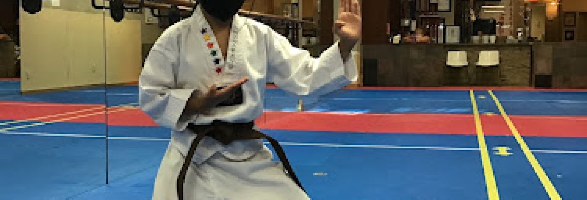 White Tiger Taekwon DO LLC