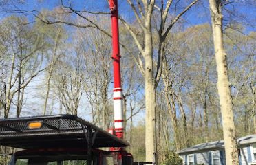 GZ Tree Care