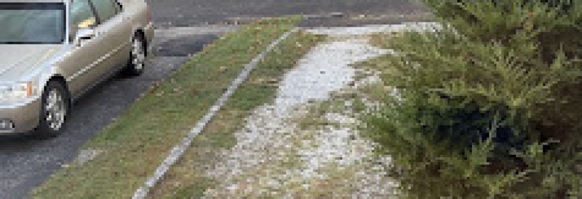 North End Landscaping Service