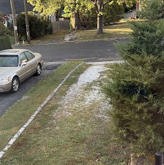 North End Landscaping Service