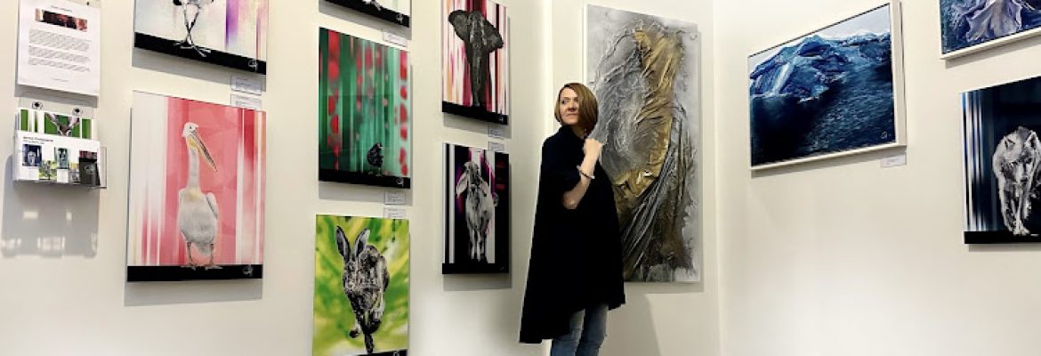 Iryna Chaboryk Studio