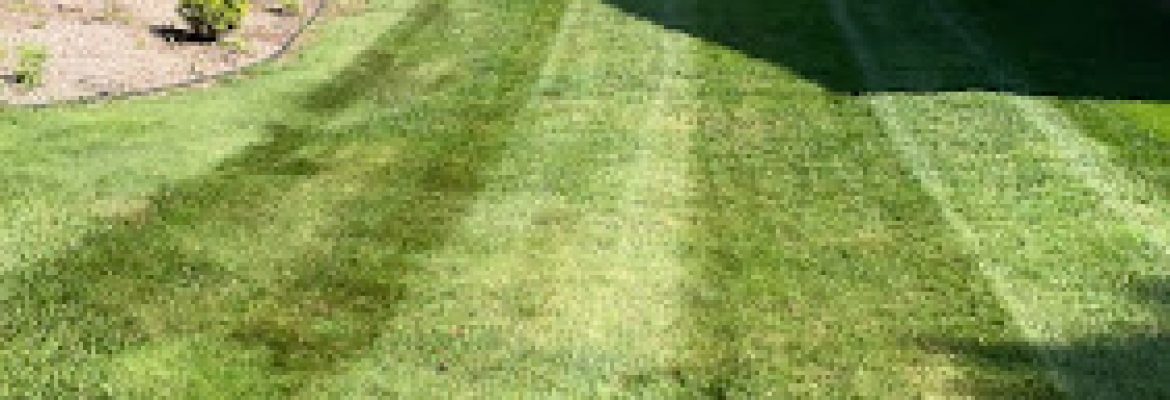 Wallingford Lawn Care LLC