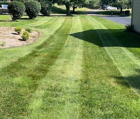 Wallingford Lawn Care LLC