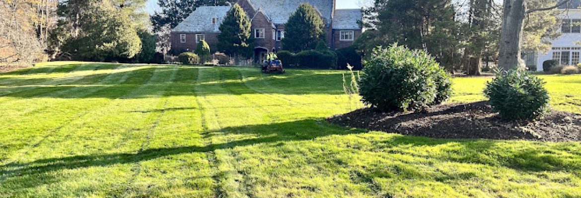 Pro Landscaping LLC