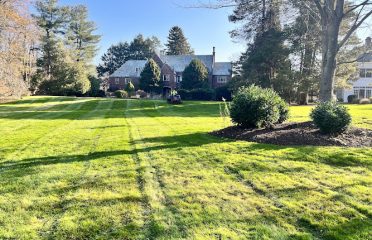 Pro Landscaping LLC