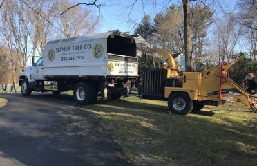 Skyview Tree Removal