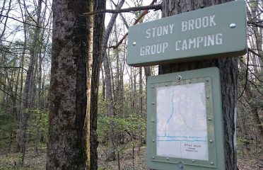 Group Camp Sites