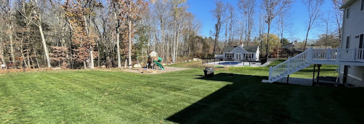 First Class Landscaping & Tree Service, LLC