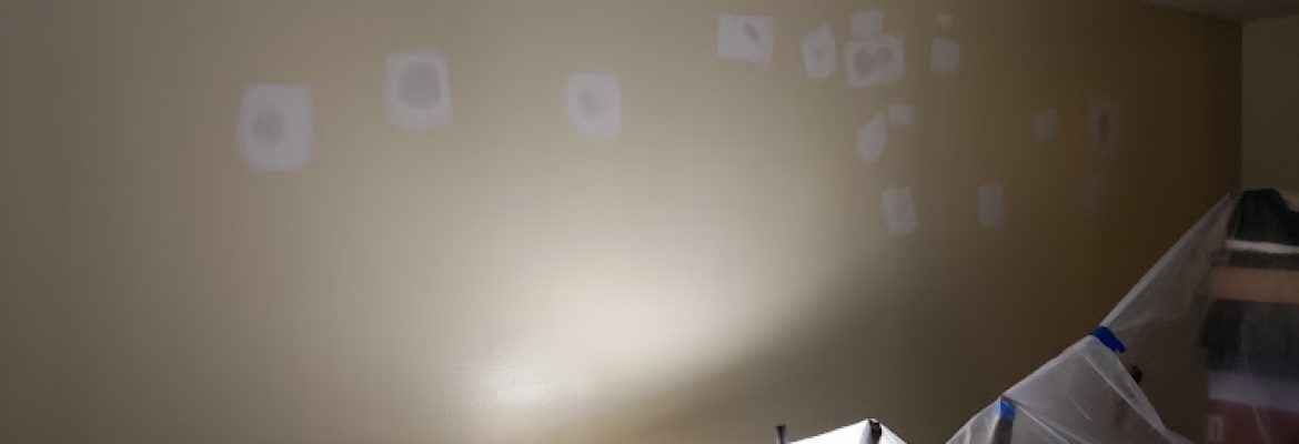 Stone’s plastering/taping/painting LLC