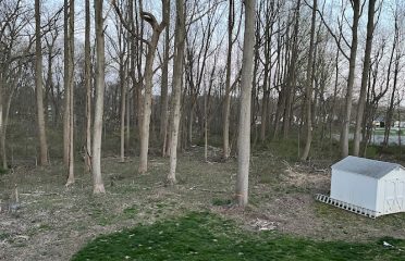 Starr Tree Service Stratford